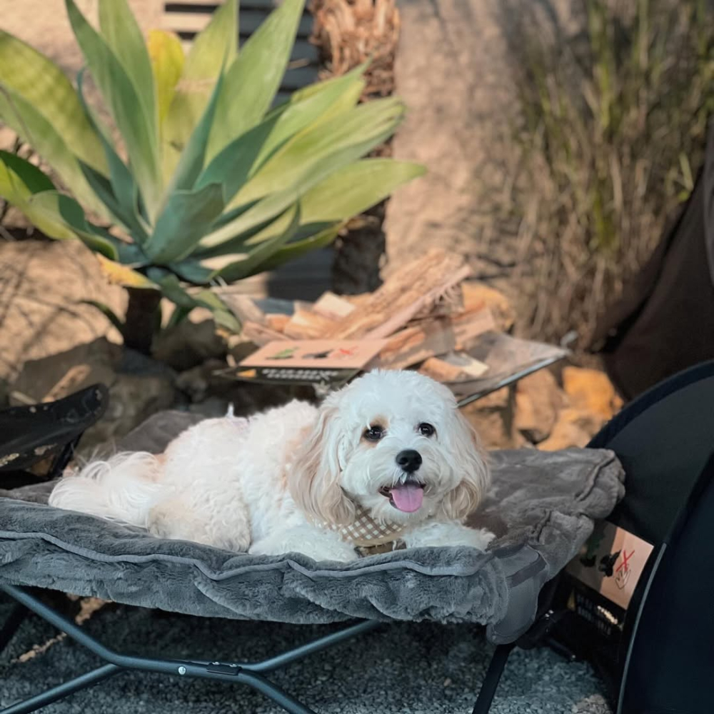 SaveClip.App_442135629_1612253186199448_2464264045038626428_n